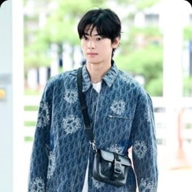 차은우 픽 #디올 핏더로드 미니백